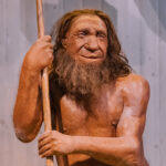 Jinstabu l-ewwel tpinġijiet… tan-Neanderthals