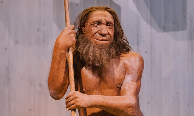Jinstabu l-ewwel tpinġijiet… tan-Neanderthals
