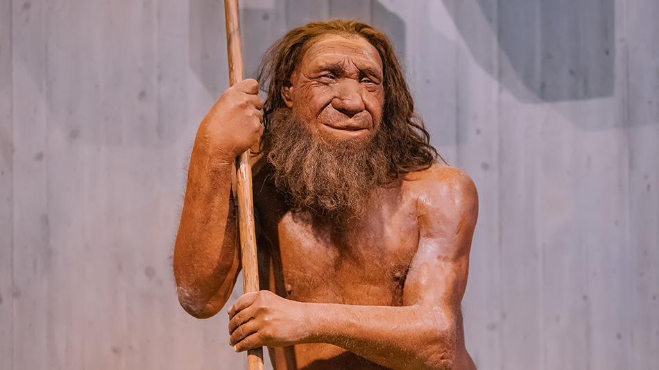 Jinstabu l-ewwel tpinġijiet… tan-Neanderthals