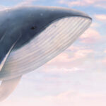 Tispira lill-Kittieba Banner